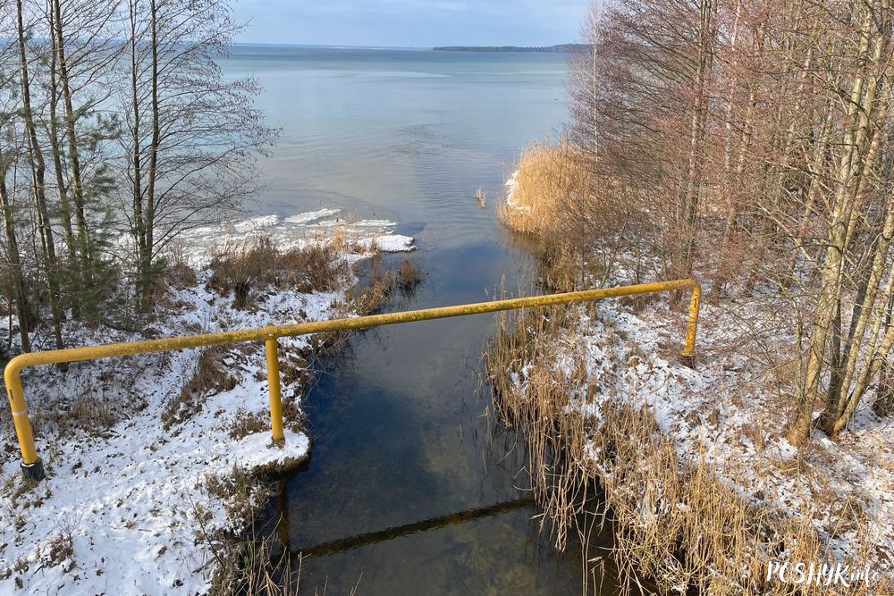 Самая кароткая рака Беларусі