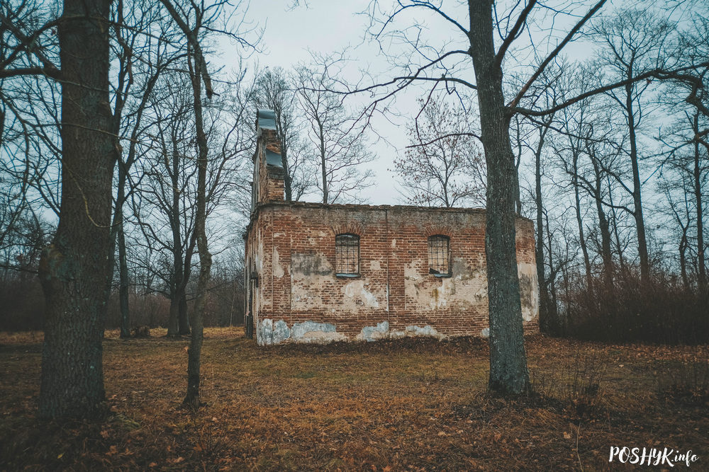 Руіны касцёла 1750 года ў мястэчку Язвіны "Вінч"