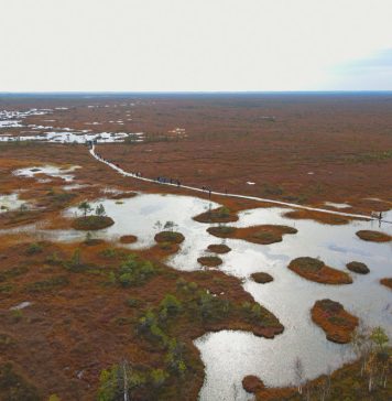 Yelnya Nature Reserve in Belarus