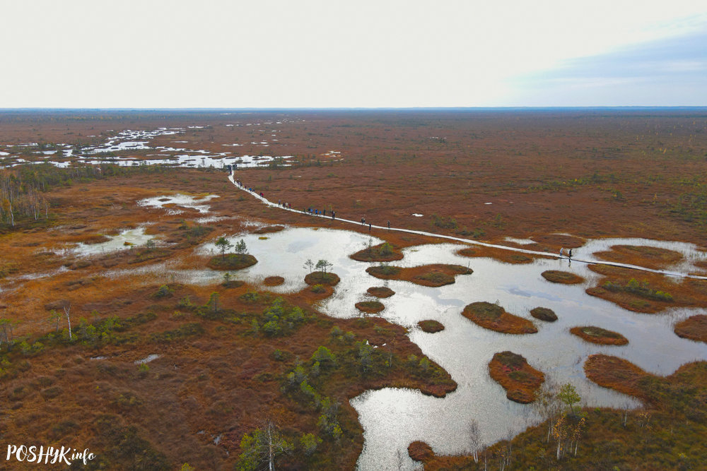 Yelnya Nature Reserve in Belarus