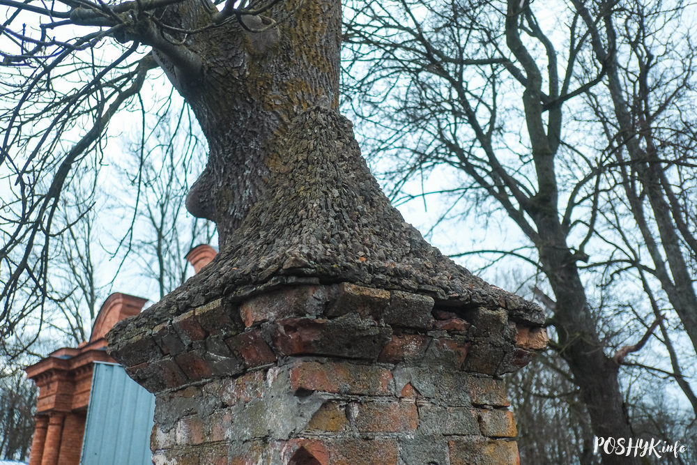 Цікавосткі Беларусі