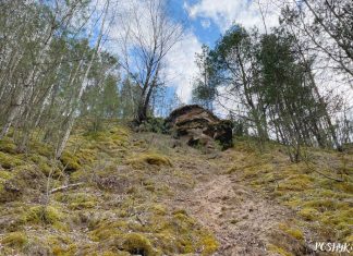 Ледавіковы кангламерат і пясчанік побач з вёскай Харашкі