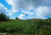 Страчаны касцёл у вёсцы Гайна Гайна