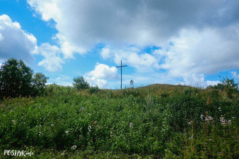 Гайна
