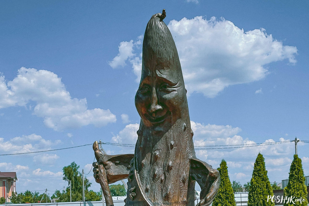 Помнік агурку ў Альшанах Помнік агурку ў Альшанах