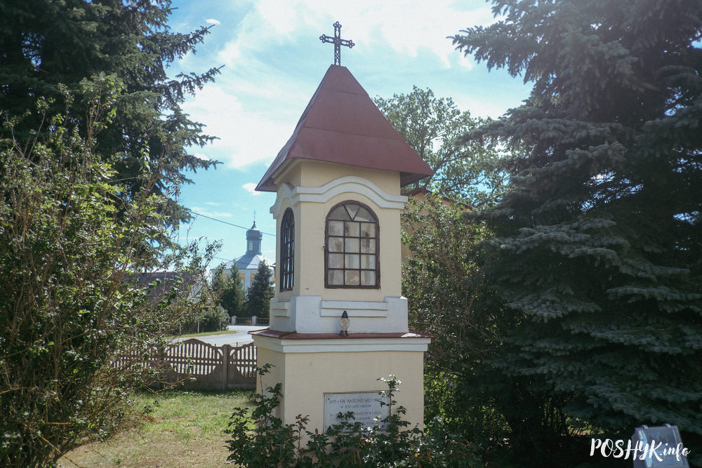 Шарашова фота