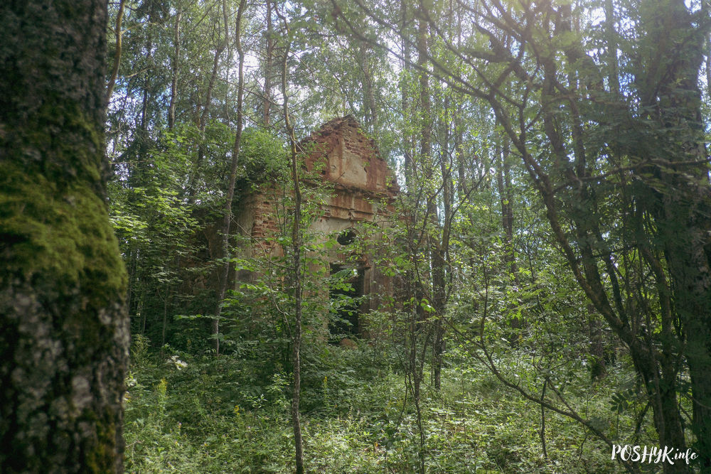 Шынаўшчына (Шинавщина )