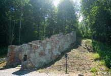 Бісхайм і габрэйскія могілкі ў Данькавічах (Шклоў) Бісхайм і габрэйскія могілкі ў Шклове