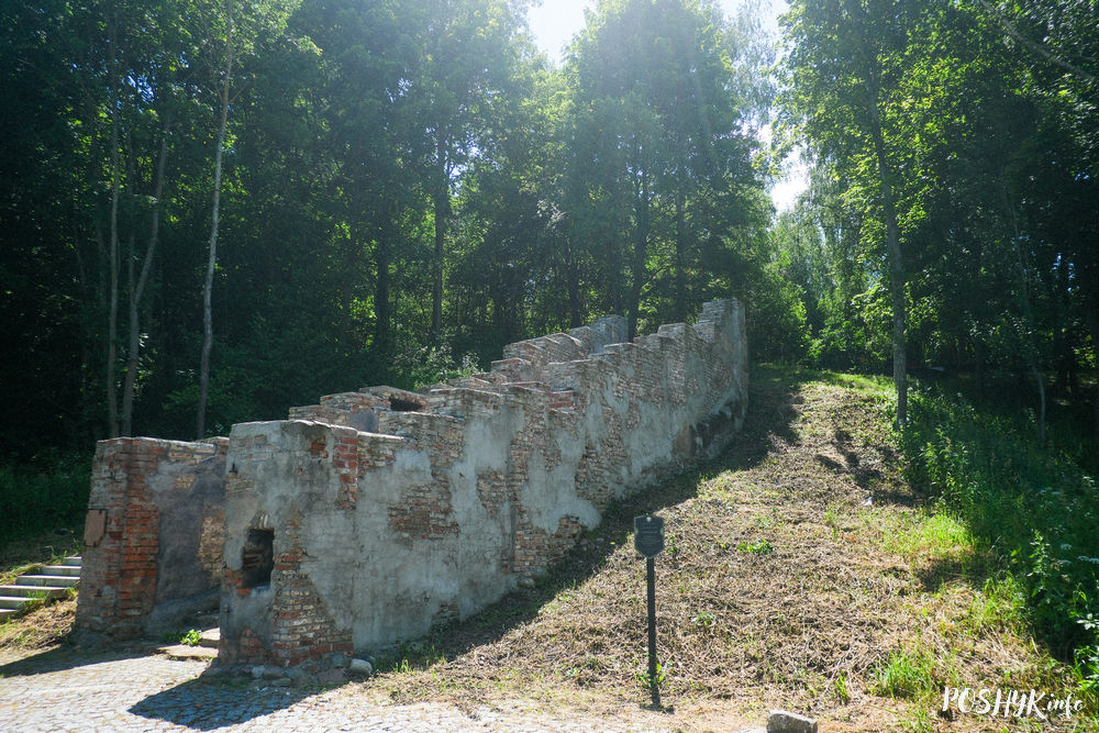 Бісхайм і габрэйскія могілкі ў Шклове