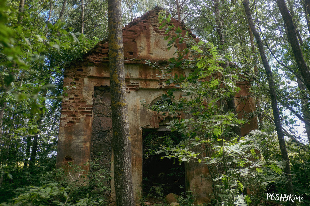 Шынаўшчына - рэшткі капліцы Снарскіх