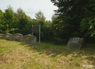 Лыскаўскае гарадзішча і месца дзе знаходзіўся замак Лыскаўскае гарадзішча і замак