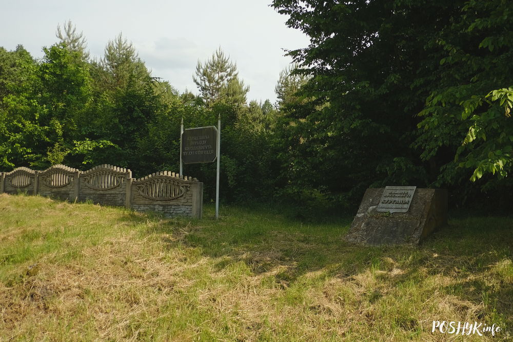 Лыскаўскае гарадзішча і замак