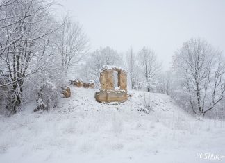 Роўнапаль (Роўнае Поле): руіны старадаўняга палаца Руіны ў мястэчку Роўнае Поле