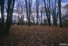 Дзе знаходзіўся Мядзельскі замак? Дзе знаходзіўся Мядзельскі замак?