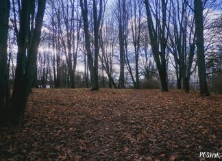 Дзе знаходзіўся Мядзельскі замак? Дзе знаходзіўся Мядзельскі замак?