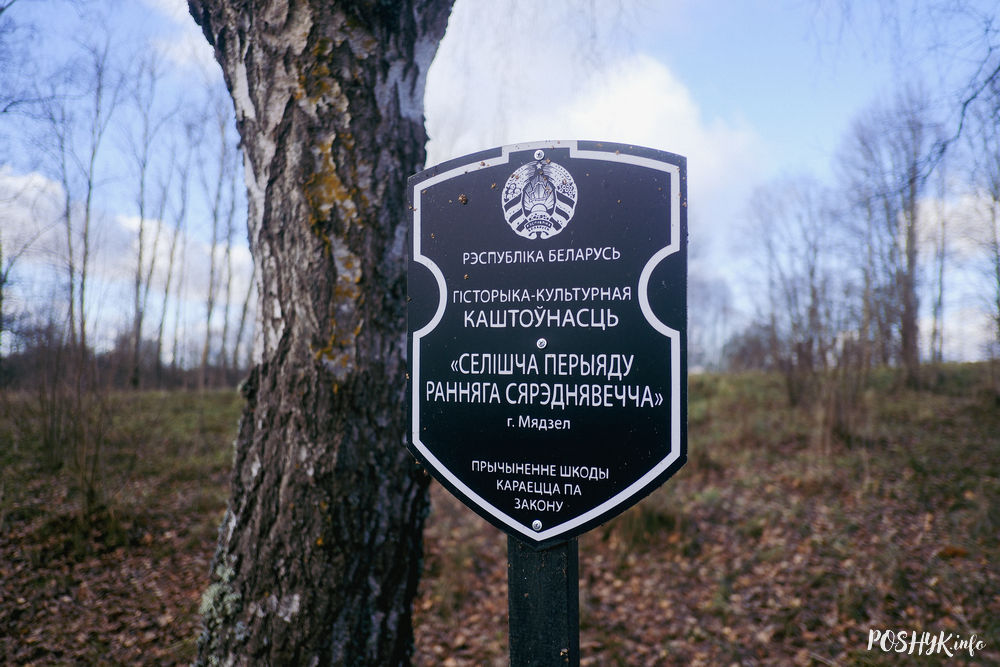 Цікавосткі Мядзеля