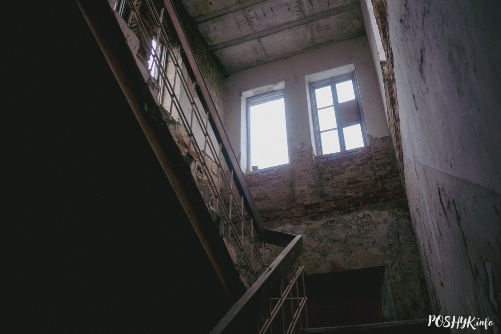 Занядбанка Дубнікі