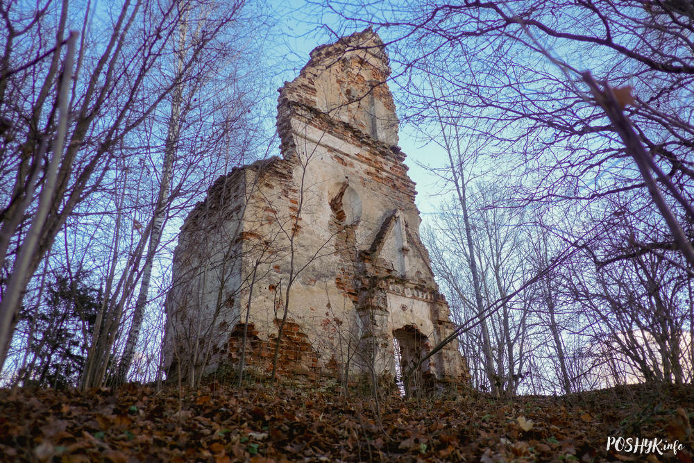 Руіны капліцы ў вёсцы Гулі (Старая Жосна)