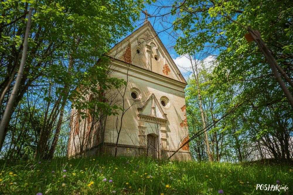 Руіны ў Старой Жосне