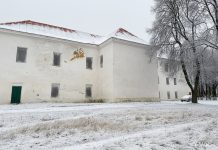 Дзе знаходзіўся касцёл Святой Кацярыны ў Нясвіжы? Касцёл Святой Кацярыны ў Нясвіжы