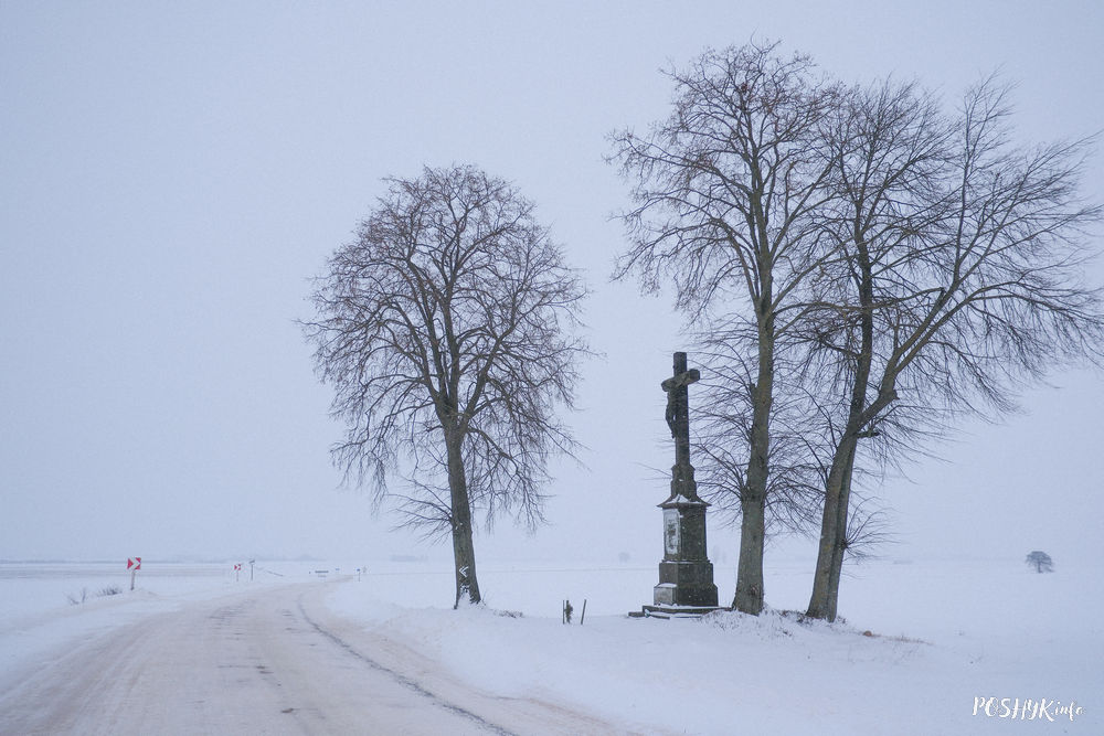 Крыж на магіле Пуслоўскіх у Загор’е Сенненскім
