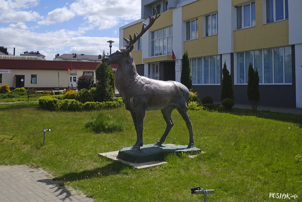 Ляхавічы алень