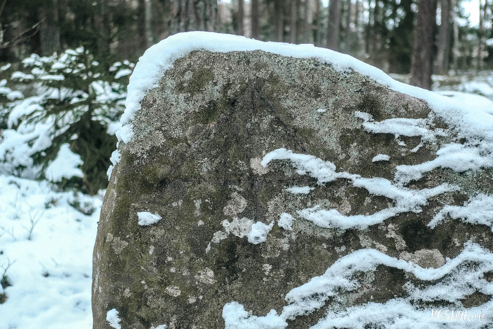 Помнік прыроды каменныя валы Сцеберацкія