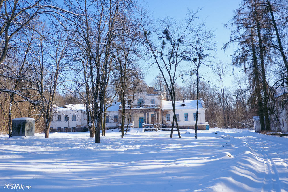 Сядзіба Навіцкіх Савейкі