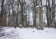 Невялічкая цікавостка Войнава – могілкі Дыбоўскіх Войнава магіла Дыбоўскіх