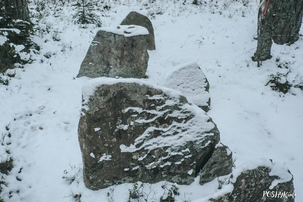 Цікавосткі Беларусі