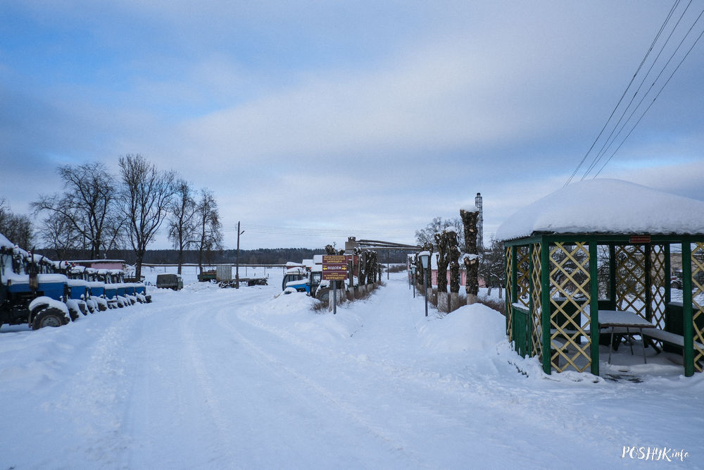 Дзе была сядзіба Бжастоўскіх Мосар? Дзе была сядзіба Бжастоўскіх Мосар?