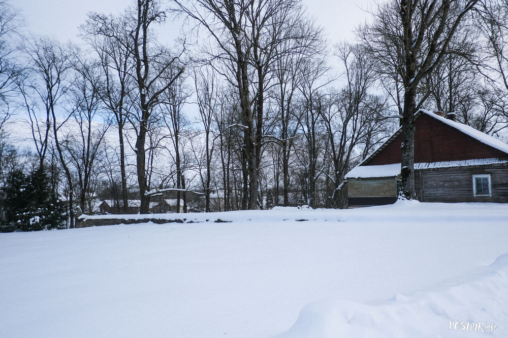 Дзе быў палац Бжастоўскіх Мосар