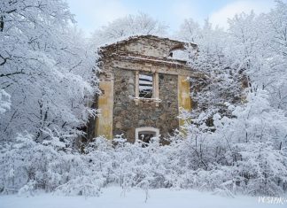 Занядбаная сядзіба Храптовічаў у Вішневе “Адравонж” Сядзіба Храптовічаў у Вішневе Адравонж