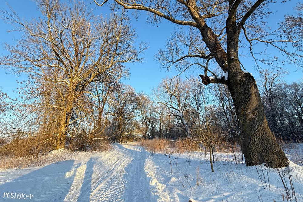Сядзіба Чапскіх Наруцэвічы Аношкі
