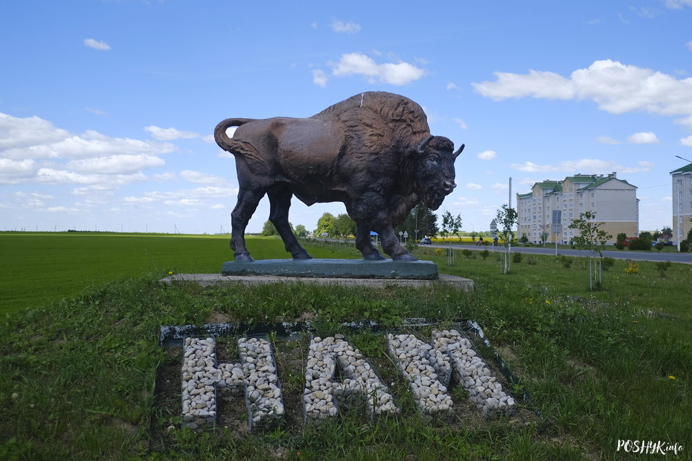 Зубр Ляхавічы