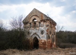 Рэшткі лядоўні і маёнтак Задзвея Задзвея сядзіба