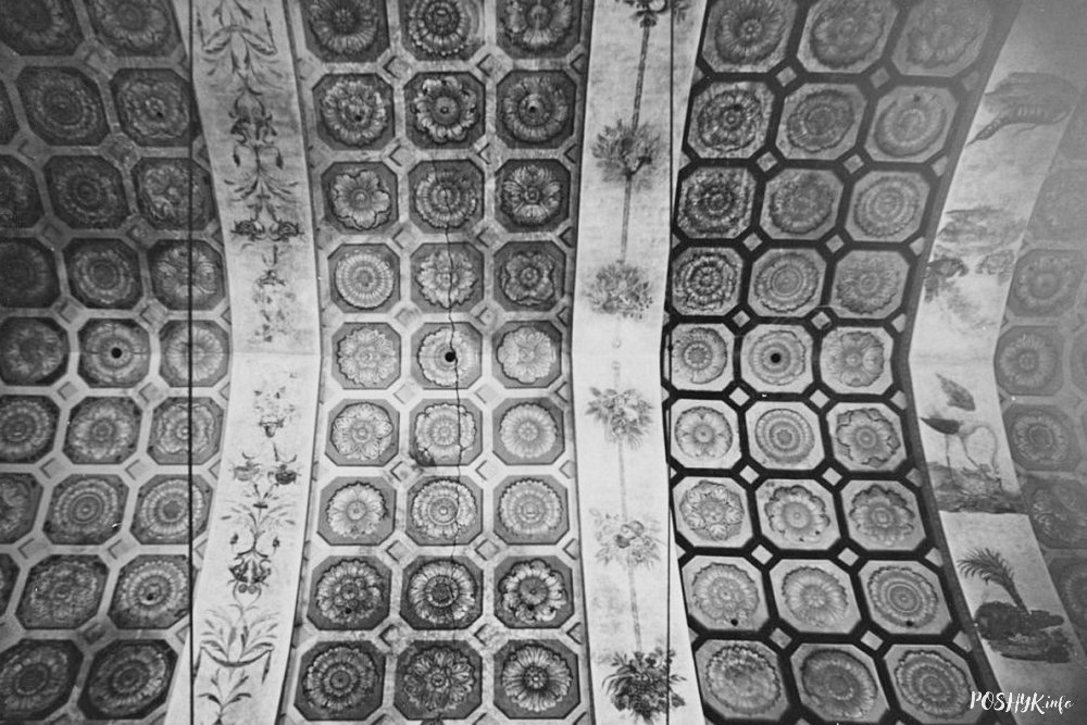 Роспіс Райца