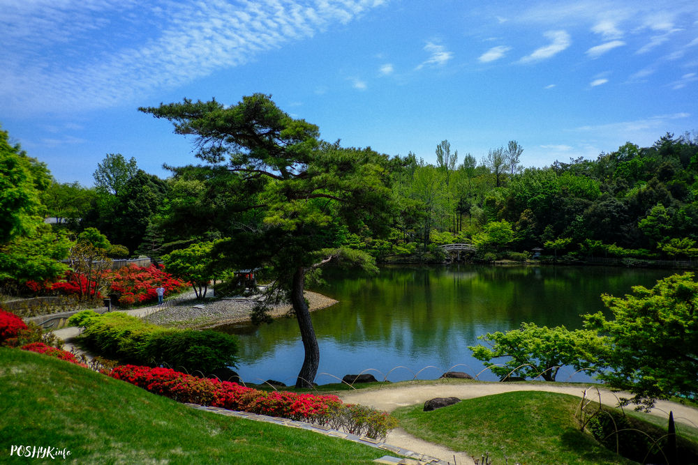 Ghibli Park Dondoko forest