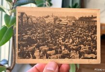 Нядзельны кірмаш у Лідзе на старых паштоўках