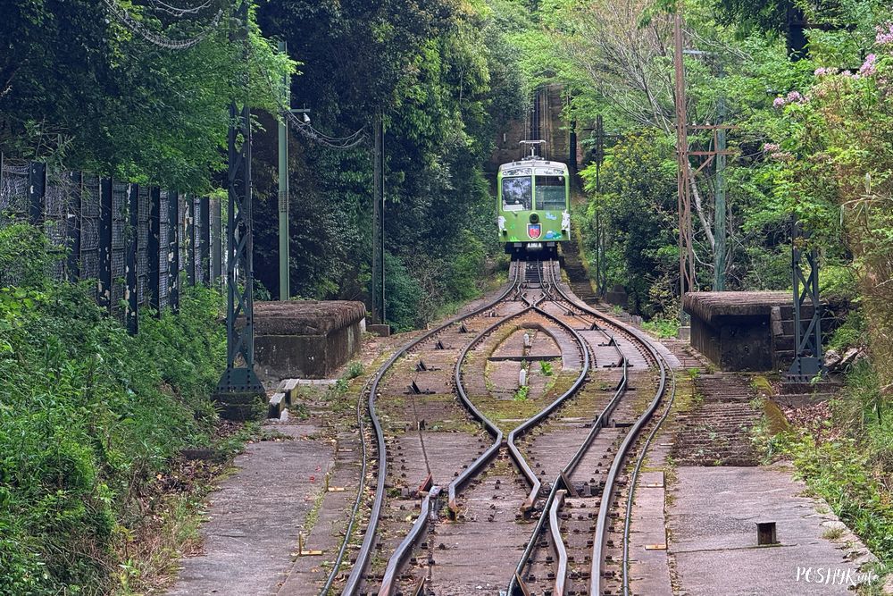 Maya Ropeway