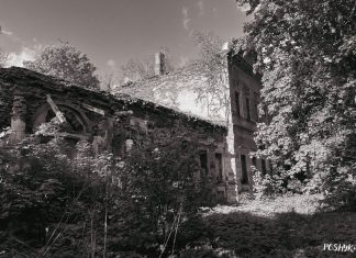 Рэшткі сядзібы Нітаслаўскіх у Бігосава (Вопытная) Руіны сядзібы Вопытная